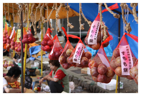 大國魂神社の初詣 2025年の混雑状況は？駐車場や屋台情報も