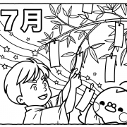 楽天市場 2026年1月始まり 壁掛けカレンダー PAGEM by NOLTY ペイジェムA3月間横ケイファミリーマンスリーC303nolty 2026 能率手帳 おすすめ おしゃれ シンプル 書き込み : 手帳とノートのNOLTY