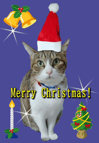 メリークリスマス無料テンプレートデザイン。イラストや画像付きも豊富 - Canva キャンバ