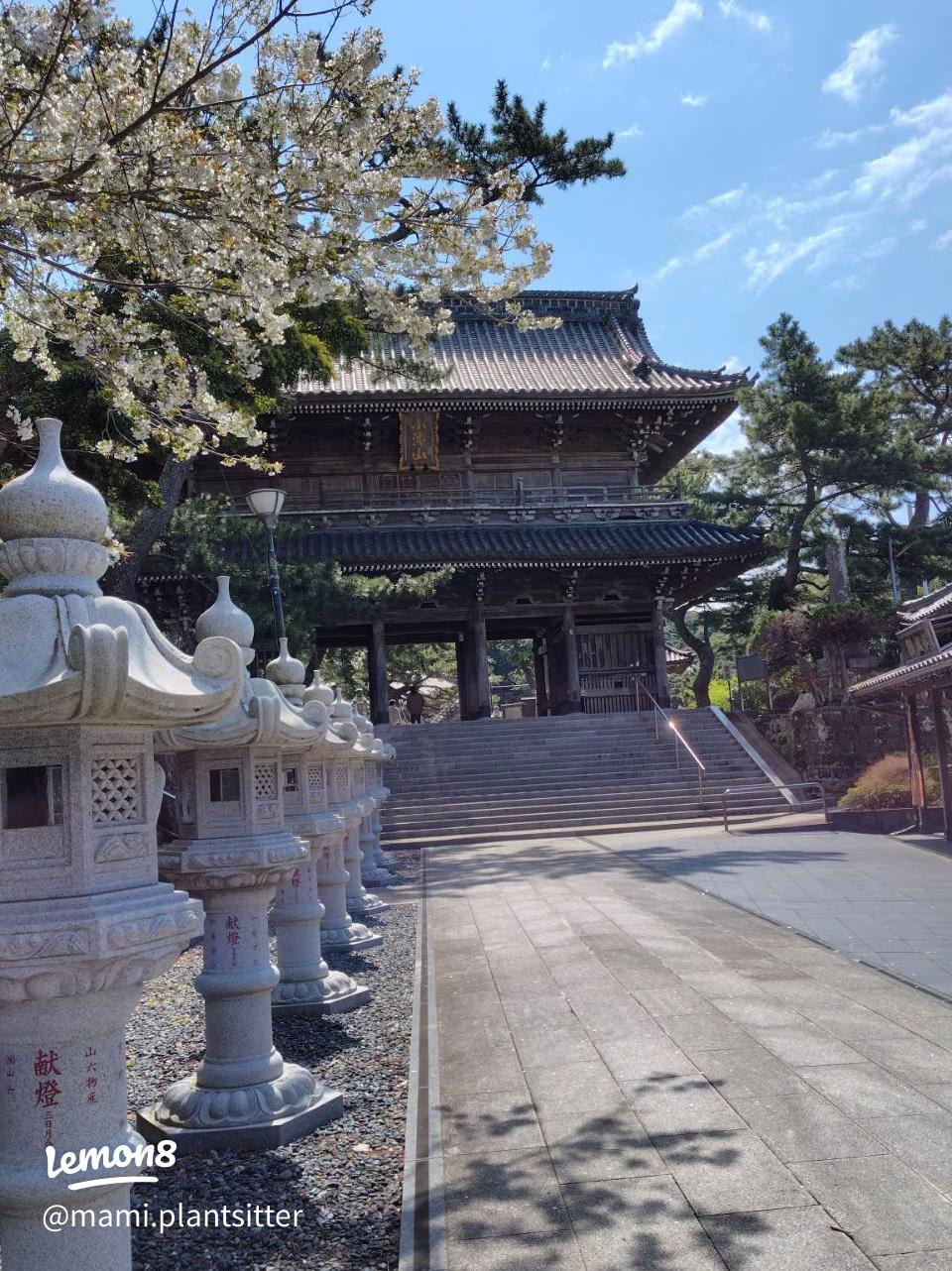 御誕生寺おすすめの観光スポット 公式 福井県 観光 旅行サイトふくいドットコム