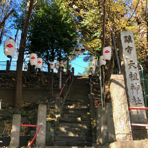 蒲田・稲田堤 川崎大師初詣稲田堤・蒲田・逗子・能見台駅前・ブルーライン中田駅前キャンパス