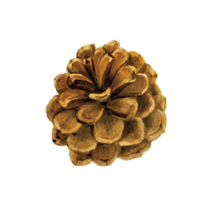 英語で読む聖書の名言10選！仲川光🌸Hikari