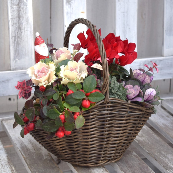 クリスマスを彩る寄せ植えの作り方初心者でもすぐにできる方法や管理のポイントを紹介コーナンTips