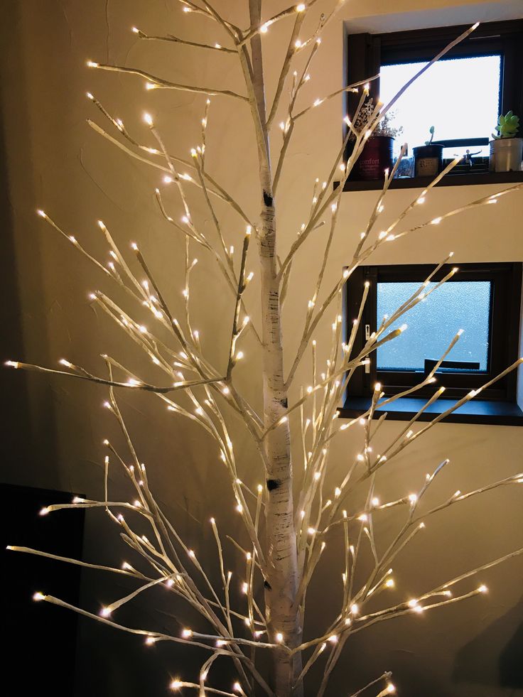 シラカバの木 LED 512球Costco Japan