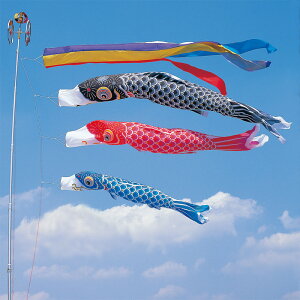 日本鯉、５色吹き流し5m、黒鯉5m、青鯉3mおまけ金具付単品