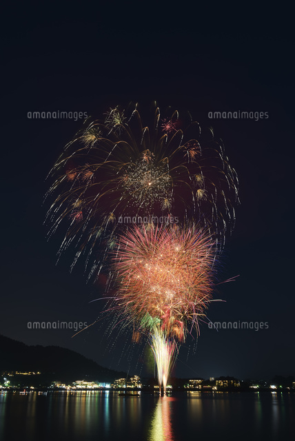 ナント種苗 大玉スイカ種子 花火 取り寄せ注文果菜類 瓜類,スイカ,まきどき,ハウス小林種苗株式会社