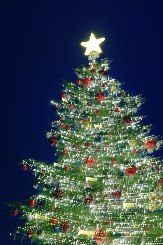 恵比寿ガーデンプレイスの「昼クリスマス」が穴場説。イルミなしでもこんなに楽しいんです 現地リポ- All About ニュース