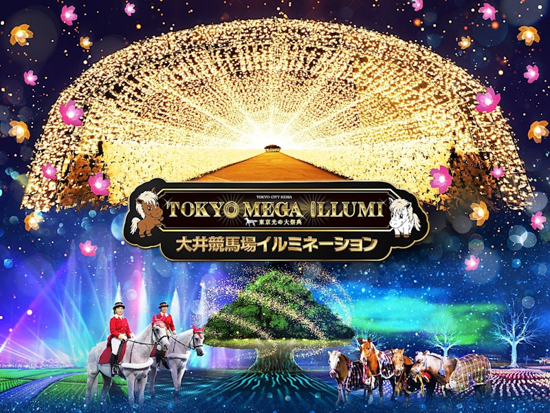 冬のイルミネーションガイド 東京の観光公式サイトGO TOKYO