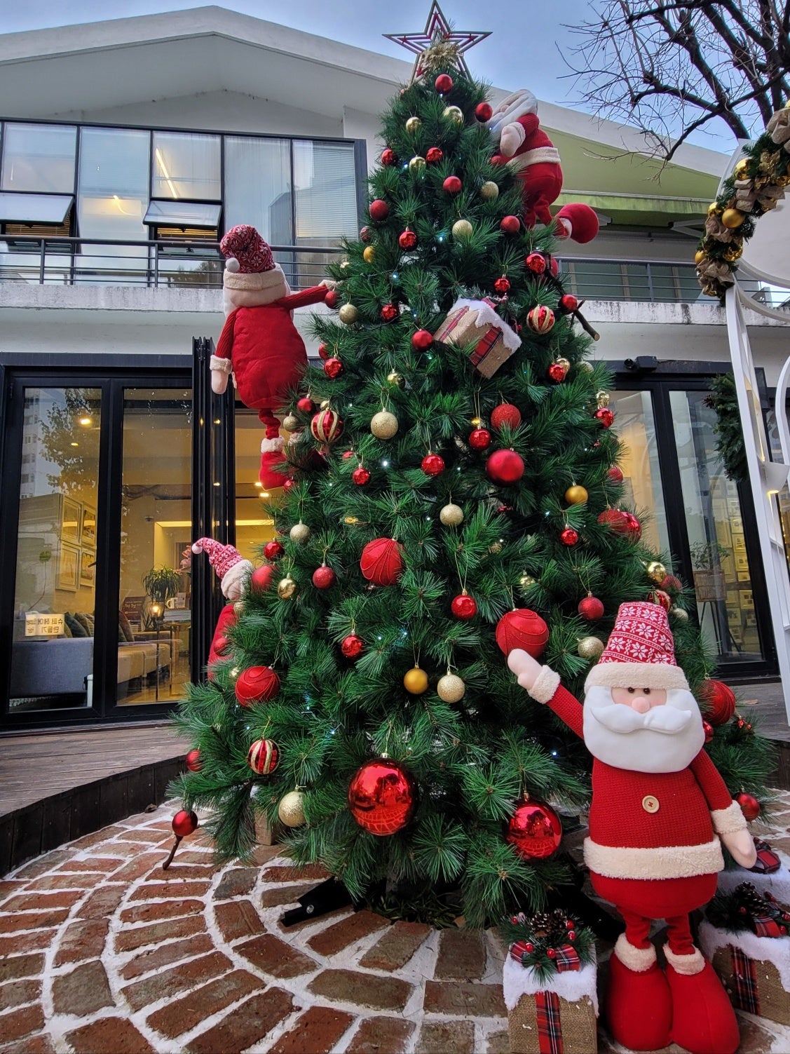 プロが指南 クリスマスガーデニングを楽しもう！世界の実例もたっぷりご紹介Hello Interior NOTEノート