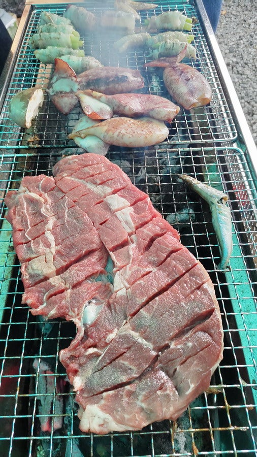 埼玉県坂戸市＞雨の日でも洗濯物が干せるテラス屋根と家庭菜園、砂場、BBQもできるガーデン │ ビズガーデニング