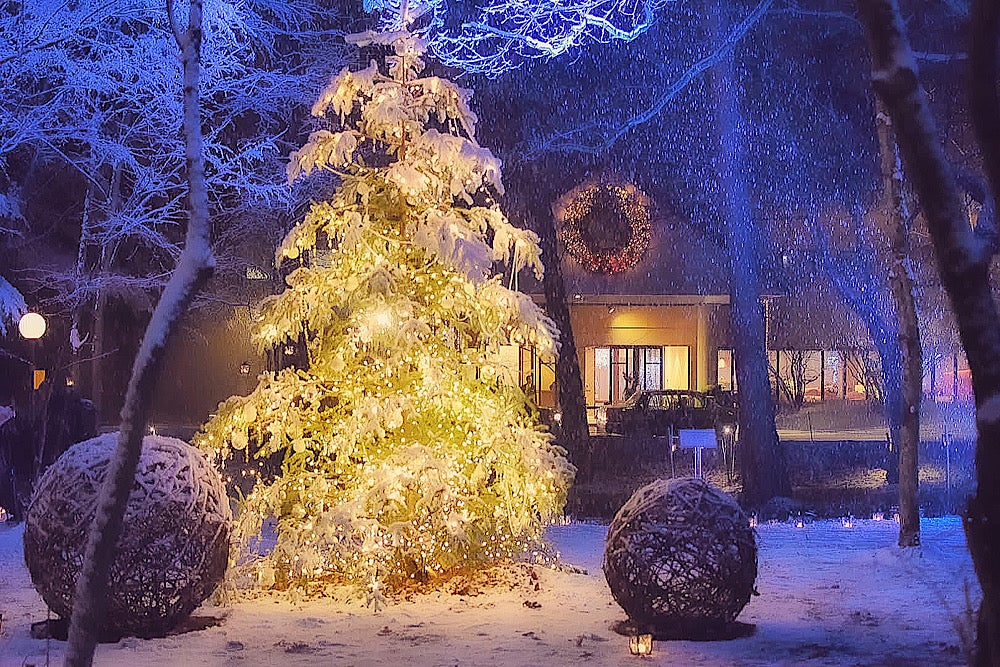 軽井沢高原教会 クリスマス: 日本一ロマンチックな場所