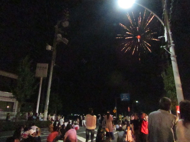 花火大会 おかげん祭ポンカン みかん 夏みかん - 楽天ブログ