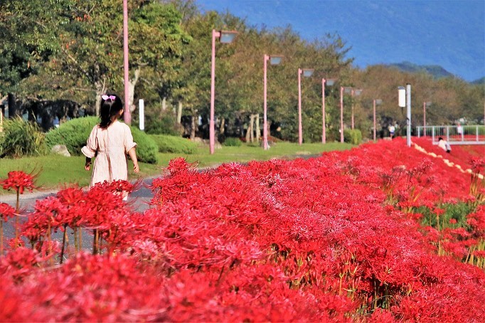宮若市ふるさと秋まつり