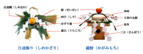 ユズリハ - 花だより