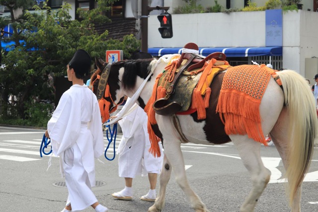 2025鶴岡八幡宮ぼんぼり祭夏越祭・立秋祭・実朝祭をつなぐ鎌倉の夏の風物詩