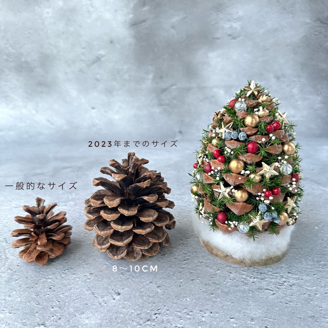 暮らし 松ぼっくりで作るミニクリスマスツリー、上手に！キレイに！作るコツ - 家電 Watch