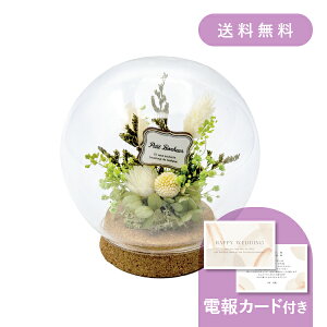 祝電 プリザーブドフラワー 電報 結婚式」の人気商品一覧安い商品を通販サイトから探す - 価格.com