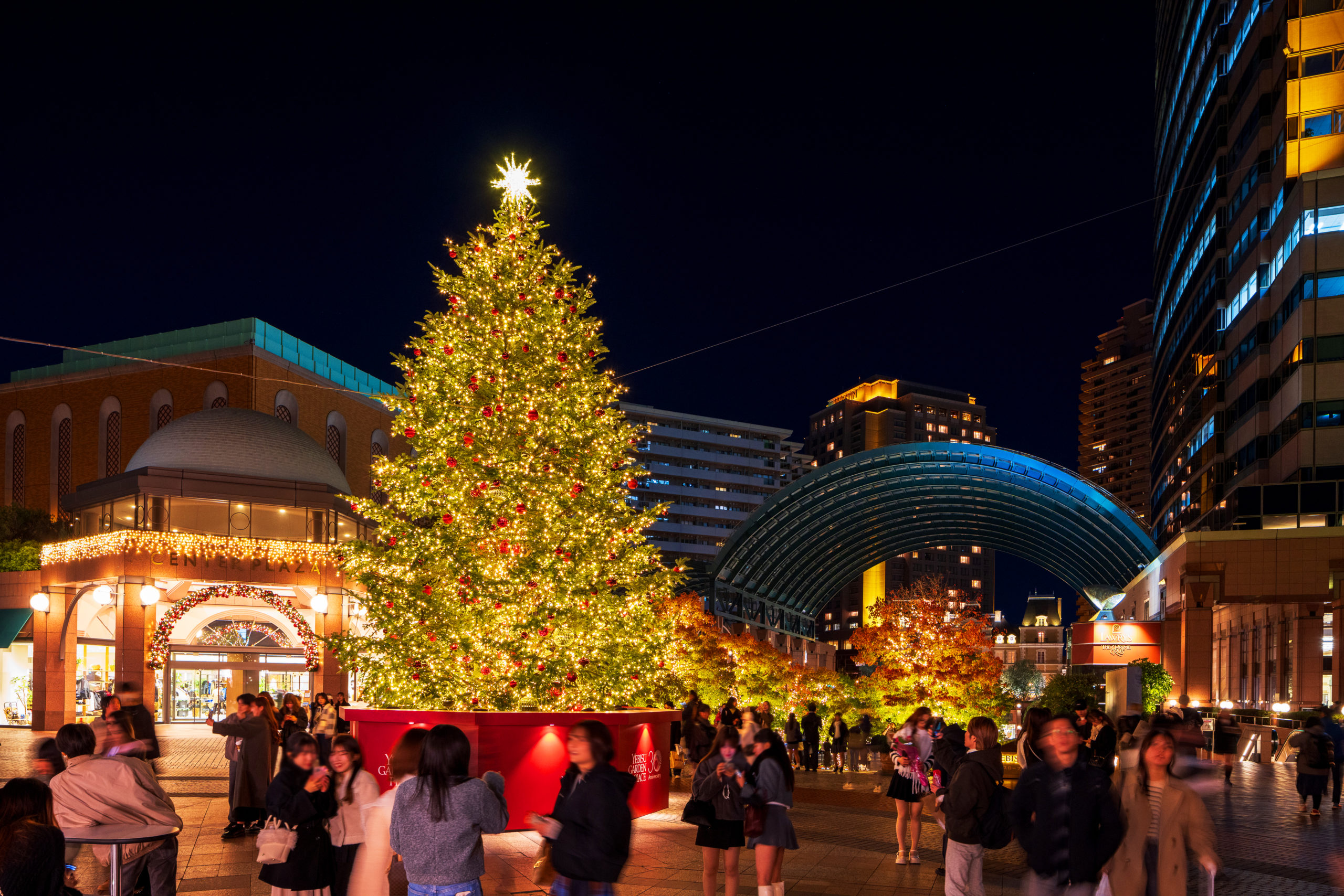 恵比寿ガーデンプレイス イルミネーション2022WORKS株式会社グリーンディスプレイ植物を用いてオフィスや商空間をグリーン溢れる空間にデザイン