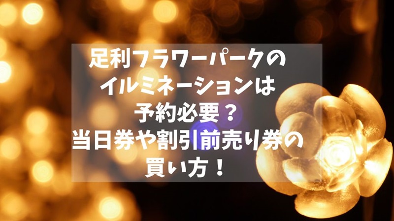 圧倒的な美しさ！冬の風物詩・あしかがフラワーパークのイルミネーション楽天トラベル