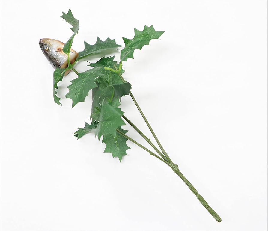 1本単位■ヒイラギ 柊 飾り葉:10cm 20cm■ヒイラギの葉 ひいらぎ 節分飾り葉 敷き葉 和食 和菓子 冬 飾り葉 あしらい 青 節分 ヒイラギ 柊木の葉 ヒイラギの葉 魔除け 日本の料理あしらい あしらひ クリスマス料理 新緑 料理用 盛り付け 和食 粋な お洒落な食卓 自然