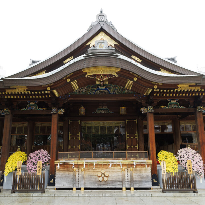 湯島天神の例大祭 2025年5月猫アリーナ