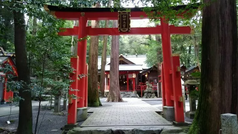 椿大神社でお得な結婚式なら 結婚スタイルマガジン
