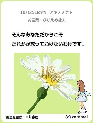 10月23日の誕生花はジャスミン！花言葉から価格まで紹介します