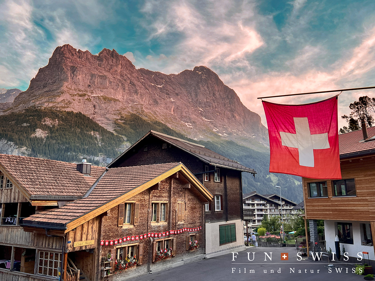 ウィズコロナの建国記念日 スイスの祝い方 - SWI swissinfo.ch