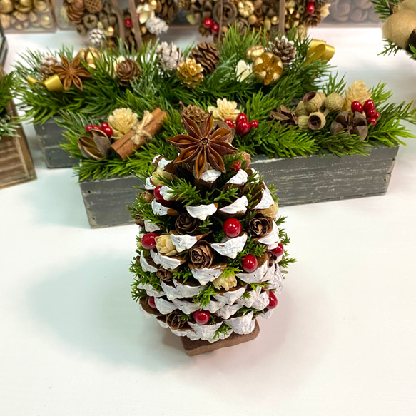 12月のバラエティコース「大王松の松ぼっくりツリー」crafeel