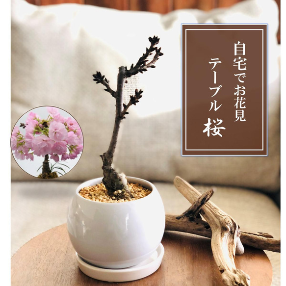 リース 玄関 通販 春 オールシーズン インテリア 雑貨 造花 玄関飾り フェイクフラワー チュラルリース Sサイズ おしゃれ かわいい 母の日贈り物 ギフト フラワーギフト 小さめ -BACKYARD FAMILY - プレゼント＆ギフトのギフトモール