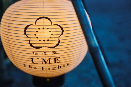 日本三名園 ライトアップイベント「偕楽園UME The Lights」入場チケット予約 茨城 水戸アクティビティジャパン