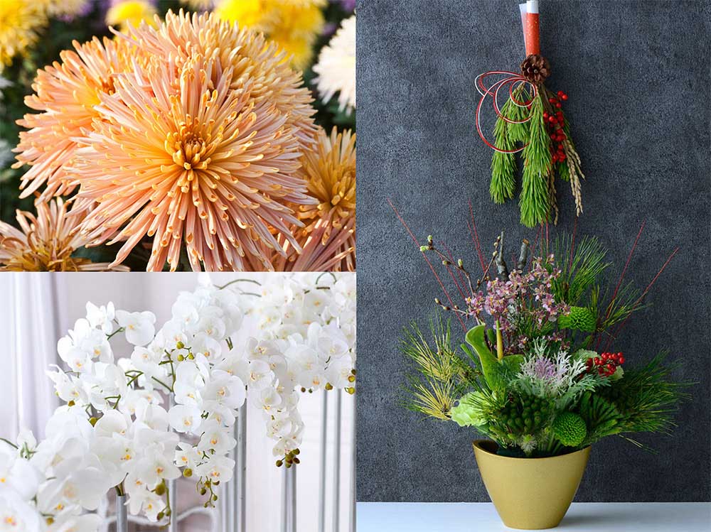 お正月 しょうがつ の日本語 にほんごNew year's Japanese