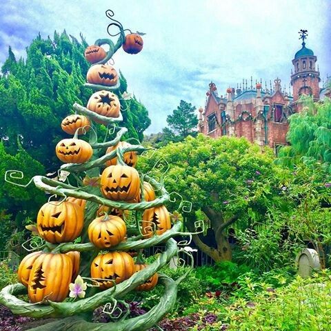 ハロウィンのかぼちゃが並ぶ港の見える景色の写真・画像素材-Snapmart スナップマート