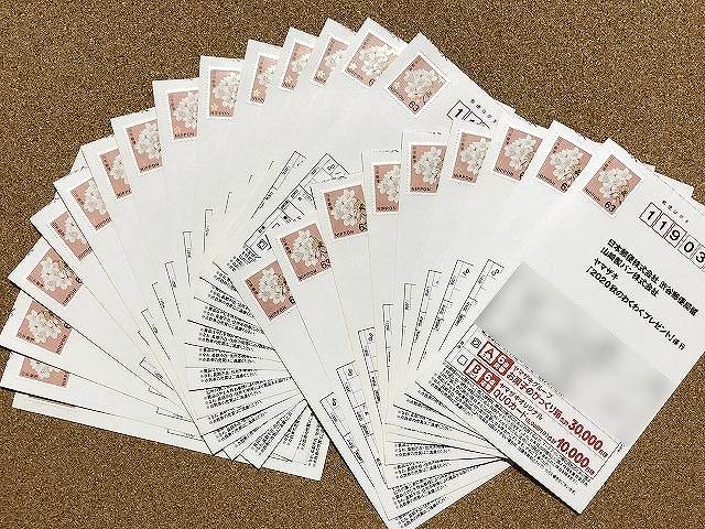 当選のコツ ヤマザキ「2023 秋のわくわくプレゼント」キャンペーン - エンタメキャンバス