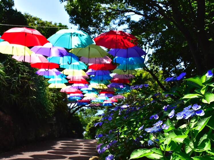 兵庫 インスタ映えすると話題！ 淡路島の『れいんぼーあんぶれら』フォトスポット