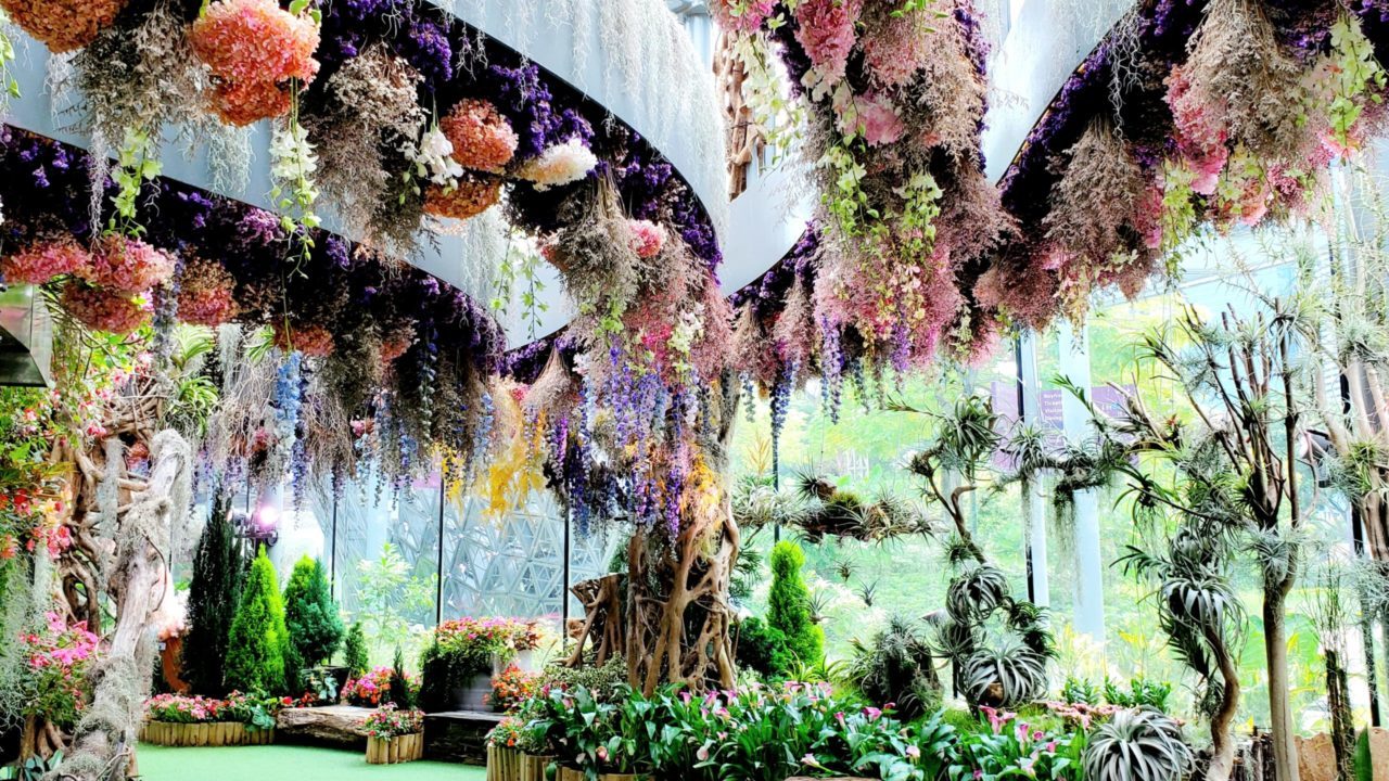 シンガポール 2020年絶対行くべき新スポット！フローラル・ファンタジーのお役立ち徹底ガイドyomoyama.me