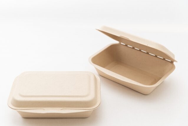 今、大人気のおしゃピク！お花見ピクニック🌸inoyuu07が投稿したフォトブックLemon8