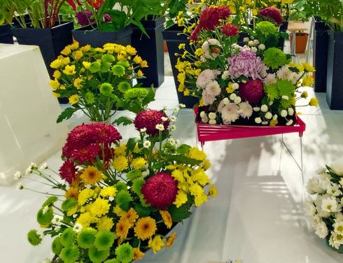 夏休みの思い出。 「はないちもんめ」をして、みんなと遊んだよ💮夏休みはないちもんめわらべうたむかしの遊び遊びはがき箋こけし伝統こけし土湯こけしなかよしこけしなかよしこけしのくに日本東北福島第一印刷福鳥商店街postcard