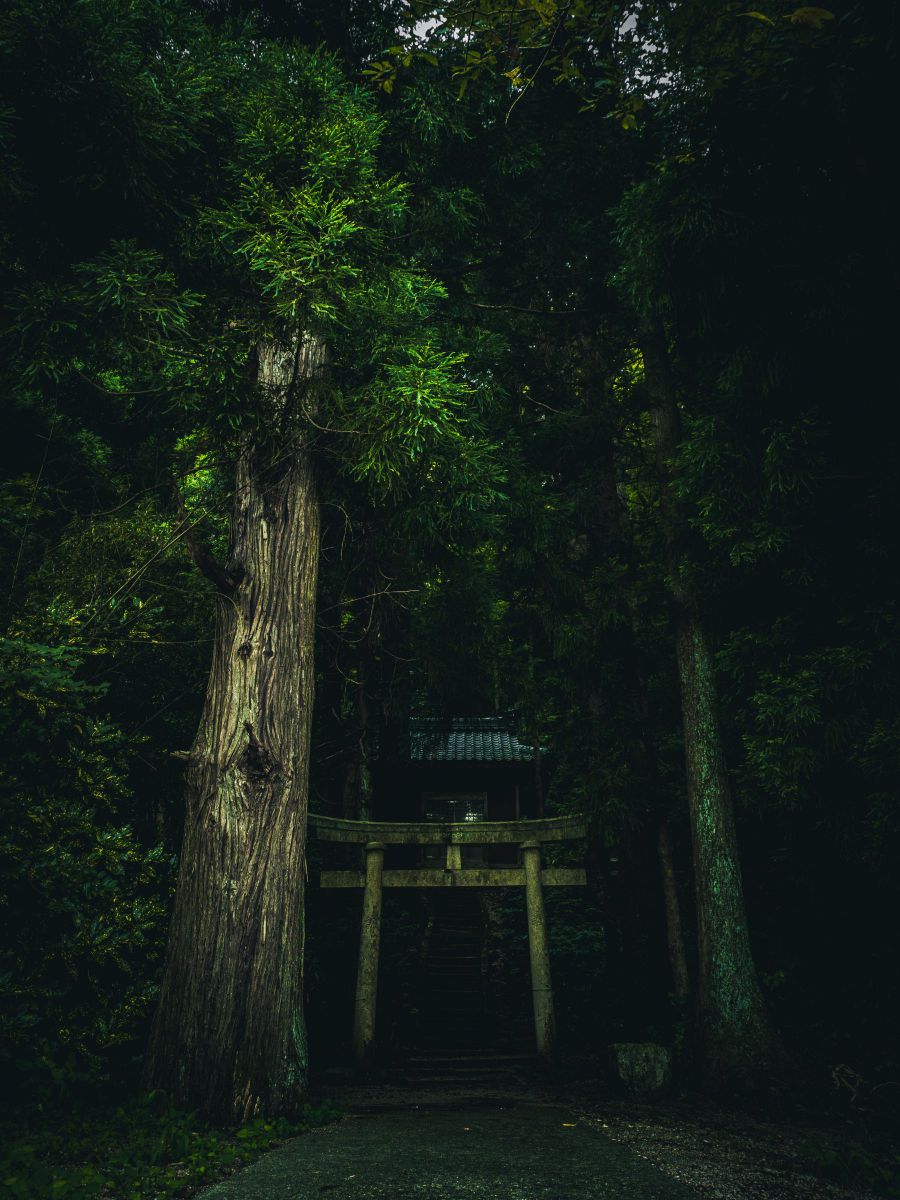 Amazon.co.jp: 喜寿祝い 喜寿プレゼント 77歳お祝い 名前ギフト詩 お名前ポエム 還暦 喜寿 古希 喜寿などの長寿のお祝い 贈り物 :ベビー＆マタニティ