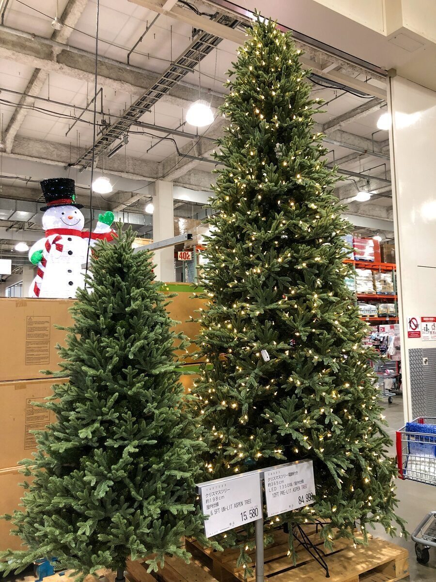 シラカバの木 LED 512球Costco Japan