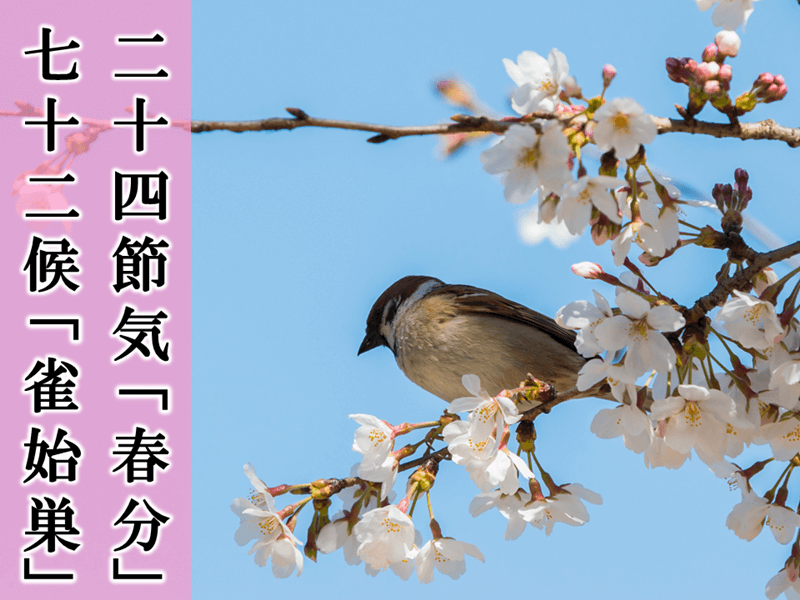 時候の挨拶、正しく書けますか？ - ウェザーニュース