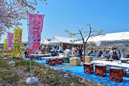 芦屋川で『芦屋さくらまつり』が開催されるみたい。「音楽＆屋台グルメ」を座って楽しめる。夜はライトアップも神戸ジャーナル