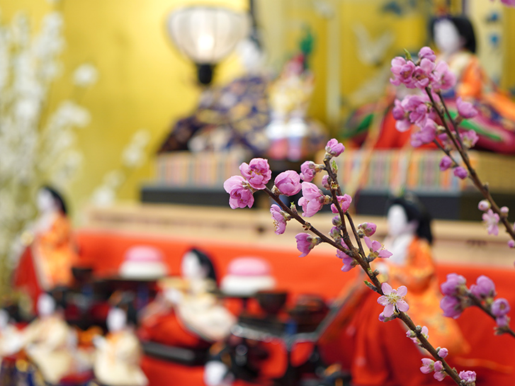 ひな祭りにぴったりなお花とは？選び方やおすすめのギフト18選Giftpedia byギフトモール&アニ
