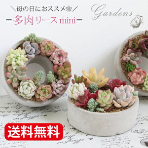 多肉植物寄せ植え そのまま飾れる ブリキバッグ型プランター☆* クリスマス現物