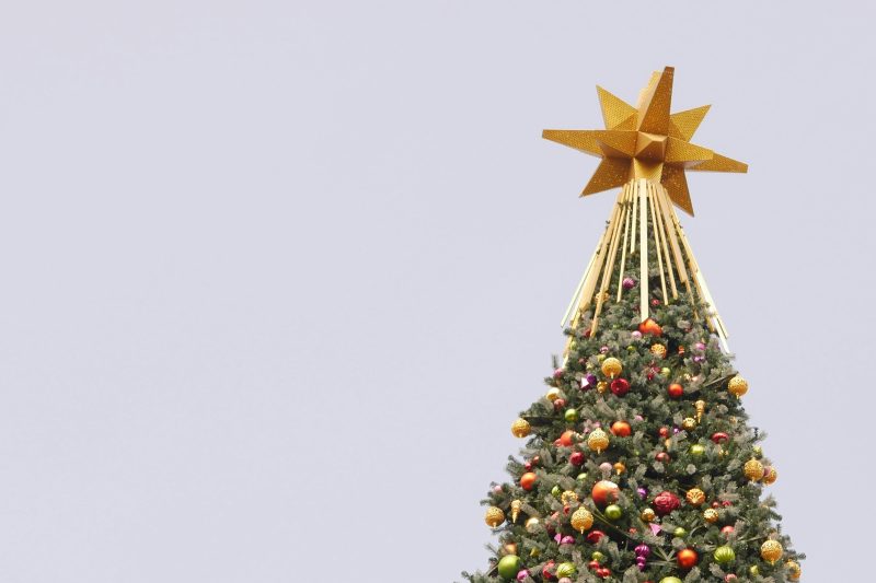 星を飾るサンタ 立体クリスマスカード 日本ホールマークのクリスマスカード – 日本ホールマーク公式オンラインストア