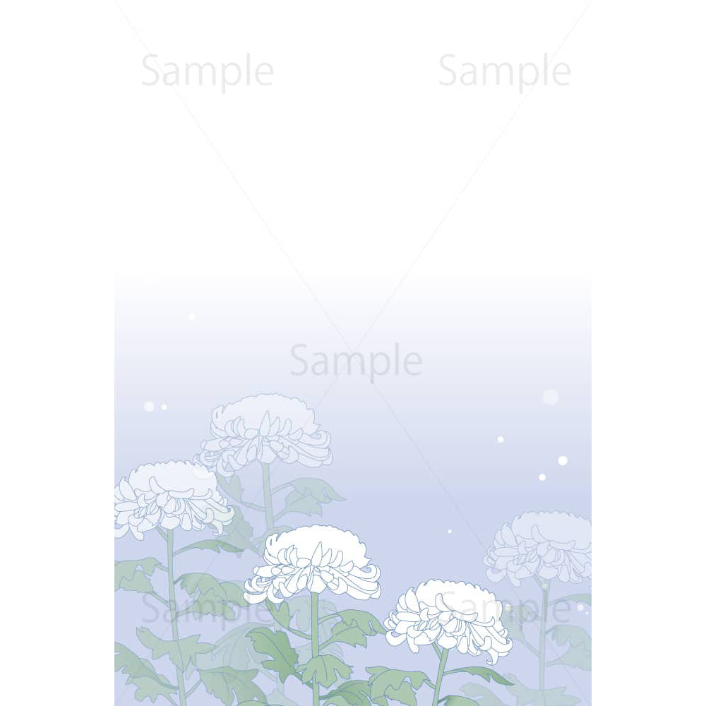 喪中はがき 菊 - 商用利用可能な写真素材・イラスト素材ならストックフォトの定額制ペイレスイメージズ