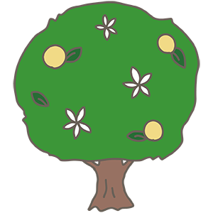 桜橘 イラスト素材4816182- フォトライブラリ