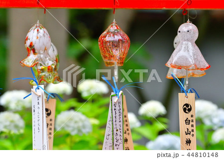 神詣で 全国神社 参拝とまつり 新潟総鎮守 白山神社公式七夕風鈴