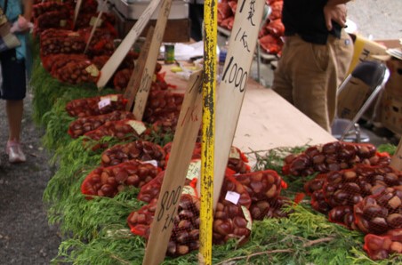 大國魂神社秋季祭くり祭まちづくり府中