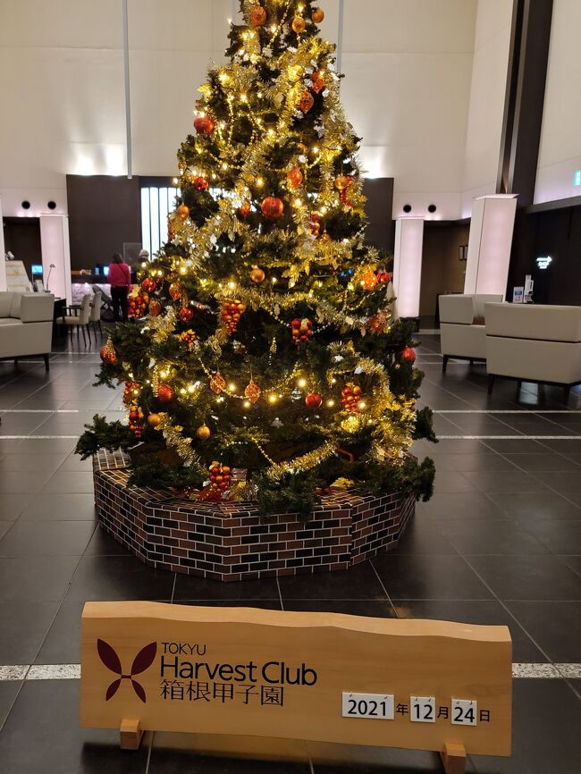 箱根ハイランドホテル クリスマスイルミネーション足柄下郡箱根町 イルミネーションガイド2024-2025 - ウォーカープラス